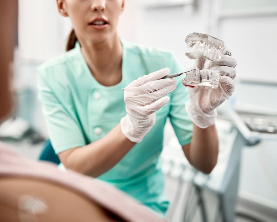 A team member is holding a model of a jaw and pointing to a tooth with her dental tool.